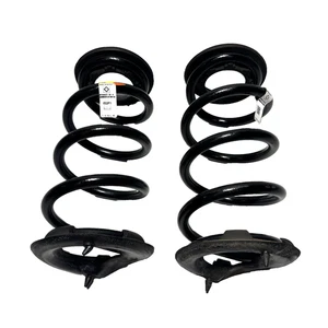 📌 2017-2023 TESLA 3 RWD REAR LEFT & RIGHT SIDE SUSPENSION COIL SPRING SET OEM - Bild 1 von 9
