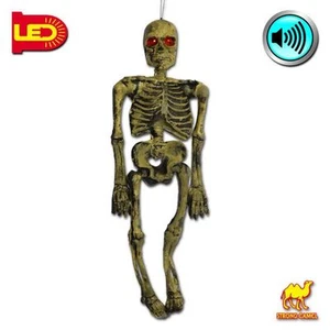 Hanging Acoustic Skeleton Ghost Glowing Eyes Scary Sound Halloween Prop Decorate - Picture 1 of 8