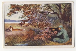 FUCHSJAGD AUS DEM ERDLOCH FOX RENARD JAGD FANG IMAGE CARD 1930's - Picture 1 of 2