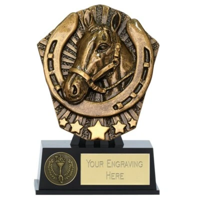 TROPHIES 4 EVERYTHING Trofeo premio equitazione Cosmos cavallo pony alto 12,5 cm INCISIONE OMAGGIO