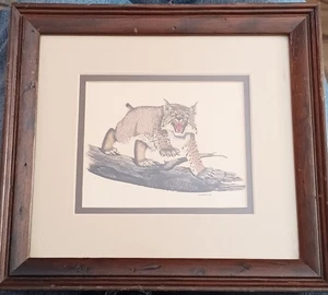 Gene Gray 1969 Lynx Print - Picture 1 of 4