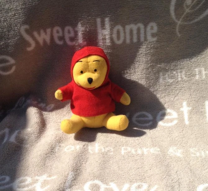 Peluche Winnie sweat capuche doudou porte-clé porte-clef collection LOTUS Disney - Photo 1/1