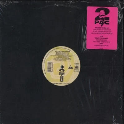 2Pac / Holler If Ya Hear Me 1993 US Gangsta Interscope Records 096080 MAKAVELI - Image 1 of 3