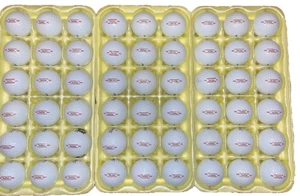 24 pelotas de golf TiTLEIST TRUFEEL USADAS en 5A/COMO NUEVAS - Imagen 1 de 1