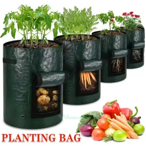 Garden Planting Pots Grow Planter Bags Plant Container for Potato Carrot Onion - Picture 1 of 21
