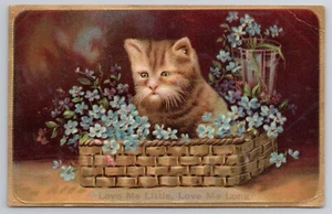 1910 Postcard Love Me Little Love Me Long Cat Basket Flowers - Picture 1 of 2