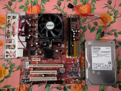 AMD Athlon 64 X2 5000+ | Scheda Madre MS-7309 (K9N6PGM-FI) + 4GB DDR2 + HDD 500G - Immagine 1 di 4