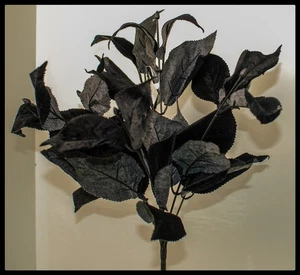 Ashland Midnight Moon Black Cherry Leaf Deluxe Bush NWT | 195158151640 | Mint - Picture 1 of 3