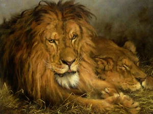Oil Painting repro Géza Vastagh: A Lion and a Lioness - Picture 1 of 1