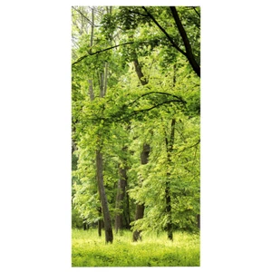 Textilbanner Frühlingswald 1x2 m einseitig UV-beständig faltenfrei Innen & Außen - Bild 1 von 1