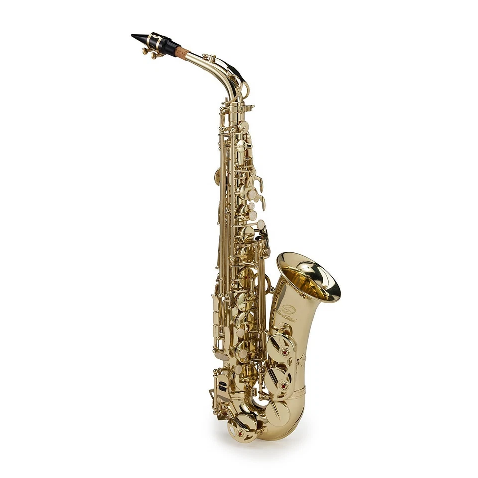 Sassofono sax Soundsation alto MIB EB completo di Custodia e Accessori