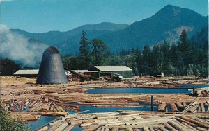 Postcard Oregon Washingon State Northwest Sawmill Log Pond Logging Industry 50s - Picture 1 of 1