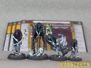 Warhammer UnderWorld WDS painted The Headsmen's Curse y42 - Picture 1 of 5