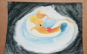 original hand drawn art watercolour image of embryo in utero 20.8cm x 14.6cm - Picture 1 of 2