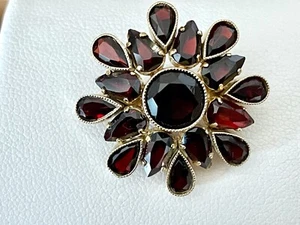 Broche/aguja con 7ct. ORO GRANATE 333/8 QUILATES - Imagen 1 de 4
