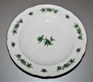Seltmann Weiden Salzburg grüne Blume Suppenteller Dm 23 cm - Bild 1 von 4