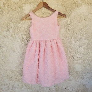Janie and Jack Kleid Mädchen Größe 7 rosa Blumen besondere Anlässe Rosen Tüll neu mit Etikett - Bild 1 von 10