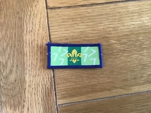 Scout Participant Year 7 Badge - Picture 1 of 1