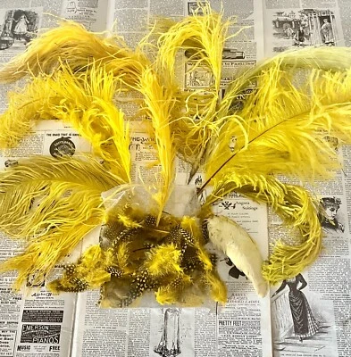 Destash Lote de plumas de avestruz antiguas victorianas, finales de 1800 - 1920, amarillo Foto 1 de 4