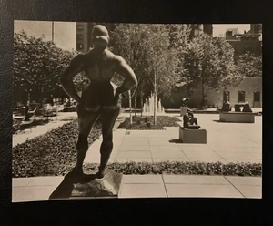 De colección Abby Aldrich Rockefeller Garden El Museo de Arte Moderno - Foto postal - Imagen 1 de 6