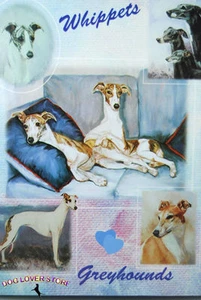 Whippet Gift Wrapping Paper - Picture 1 of 1