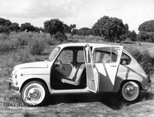 Fiat 600 Modellvorstellung neues Modelljahr Pressefoto 1 Foto - Bild 1 von 1