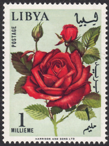 1965 Libya SC# 284 - Rose - M-NH