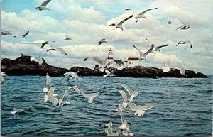 Postal Faro Gaviotas Maine Coast ME - Imagen 1 de 2