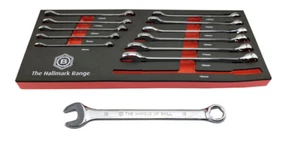 SET TENDITORE COMBINATO 12 PEZZI CON ANELLO ESADECIMALE 6 PUNTI DI BRITOOL CEHMSET12TC - Foto 1 di 1