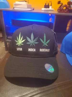 Boné de beisebol preto ajustável - Imagem 1 de 4