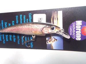 Forellen Gleitköder 2 Jerkbaits Morone Baitfish Swimbait Barschköder See Fluss - Bild 1 von 4