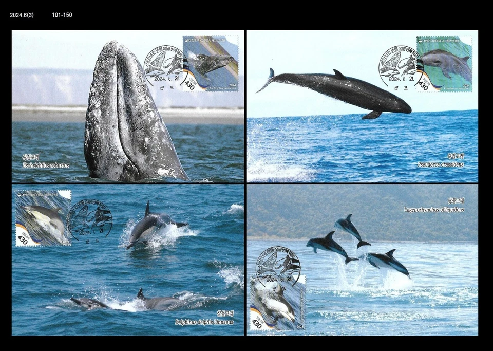 Especies Marinas Protegidas, Ballena, Delfín, Vida Silvestre, Corea 2024 Max.Card, Cetáceo Foto 1 de 1