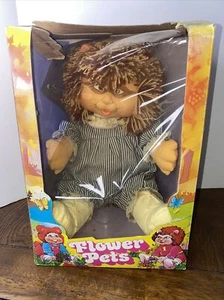 Muñeca de peluche rara de colección 1984 Blue Box Flower Pets Raccoon Boy juguetes de los años 80 - Imagen 1 de 12