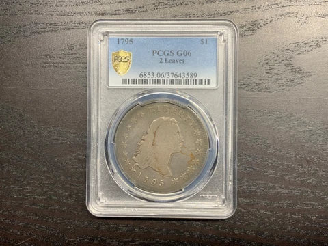 1795 Flowing Hair Dollar PCGS G-6 2 Leaf Variety Original Toning, Die Rotation Cover