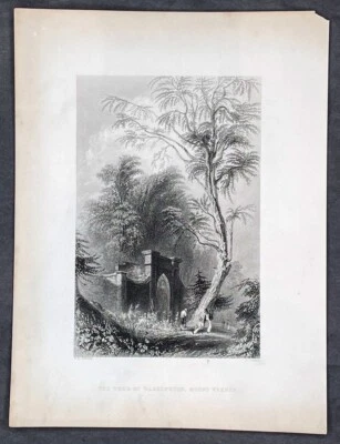 Antigua impresión de Bartlett de 1840 W Tumba de George Washington Monte Vernon Virginia (35266) Foto 1 de 2