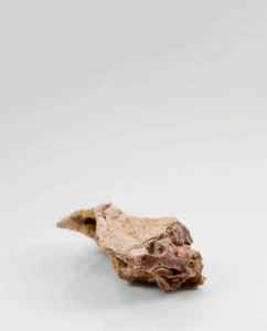 Fossil Fish Cranium Element 91mm - Picture 1 of 10