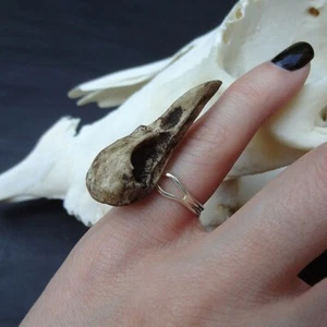 Mini Raven Skull Ring 1.5" Bird Skull - Cast Bone Resin Replica Adjustable Ring - Picture 1 of 1