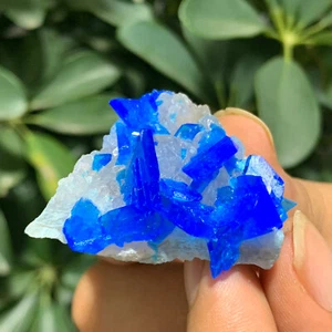 30G Natürliches Blaues Kupfersulfat Mineral Probe Heilung - Bild 1 von 13