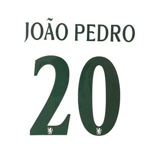 OFFICIAL JOAO PEDRO #20 Chelsea FC Away 2025-26 Cup UCL Print - Picture 1 of 6