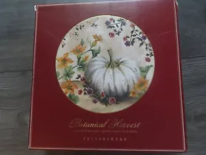 POTTERY BARN ~ PIATTI ZUCCA RACCOLTA BOTANICA ~ SET DI 4 ~ NUOVI CON SCATOLA - Foto 1 di 6