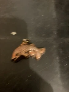 Copper Fish Shaped Charm  - Picture 1 of 2