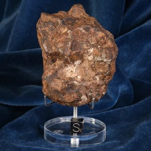 Météorite Odessa 745 g Sidérite IAB-MG Découverte 1922 Ector County, Texas USA - Imagen 1 de 17