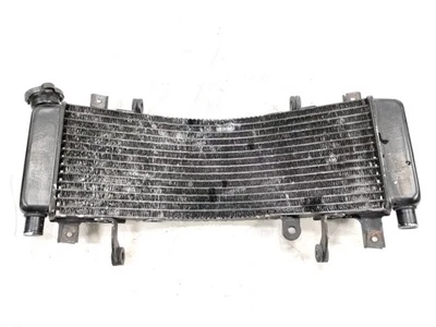 98-03 铃木 TL1000 R 前上部散热器  — 第 1/4 张图片