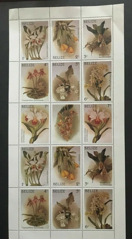 Belize 1987 Christmas Orchids stamps block MNH Cover