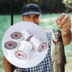 0.2mm/0.25mm/0.3mm/0.35mm/0.4mm Nylon Fishing Line Transparent Beaded Rope - Picture 1 of 14