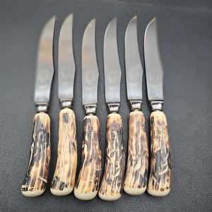 EVERBRITE Sheffield England Antler Set di 6 coltelli da bistecca 8" acciaio inox - Foto 1 di 11