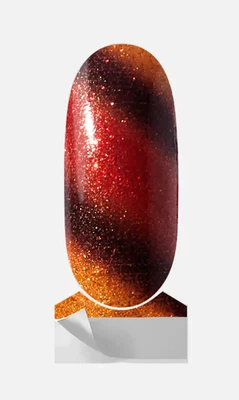 🦃 color STREET Polish THANKSGIVING TURKEY Autumn Harvest Current Retired - Image 1 of 3