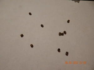 MESSING INNENSECHSKANTSCHRAUBEN 8/32 x 3/16. TASSENSPITZE, 10 STK. NEU - Bild 1 von 1