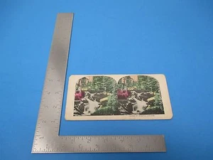Vintage Stereoview Card Cascade At Palgrove Colorado - Bild 1 von 2