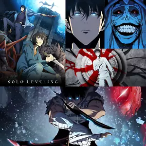Solo Leveling Anime Complete Season 1 TV Series 1-12 English Dubbed Subtitle DVD - Picture 1 of 10